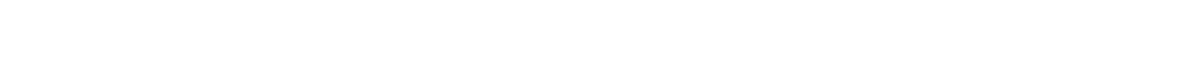 Pionier